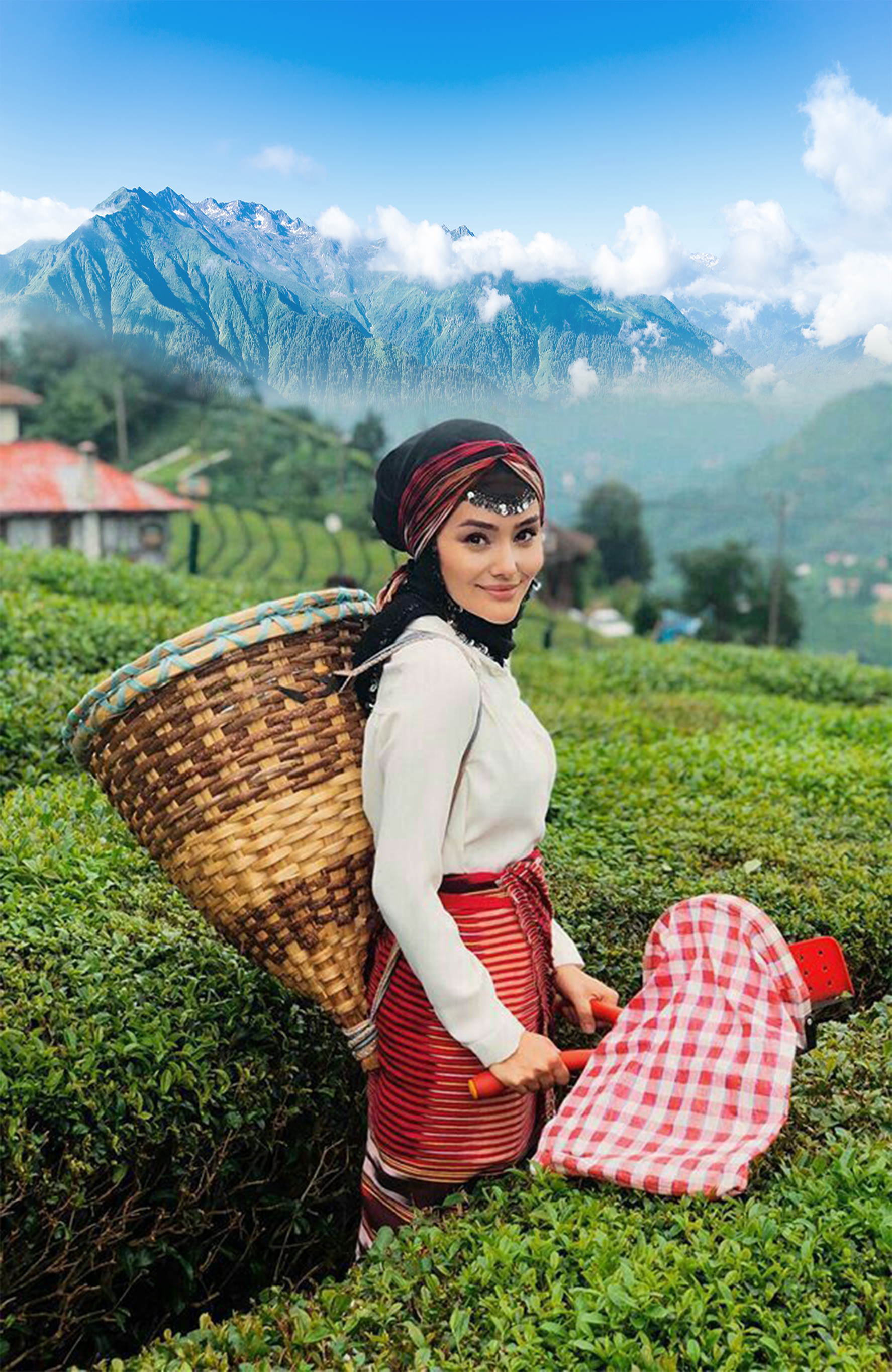 Yurt İçi Turlar