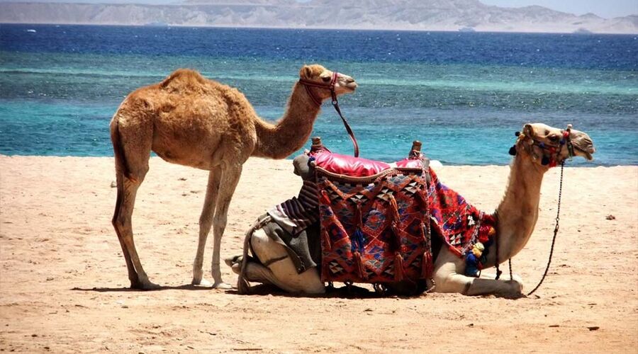 Vizesiz Sharm el-Sheikh Turu