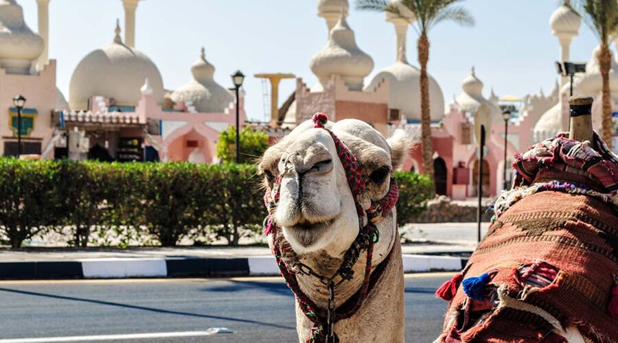Vizesiz Sharm el-Sheikh Turu
