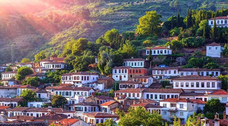 Seferihisar Mandalina Festivali