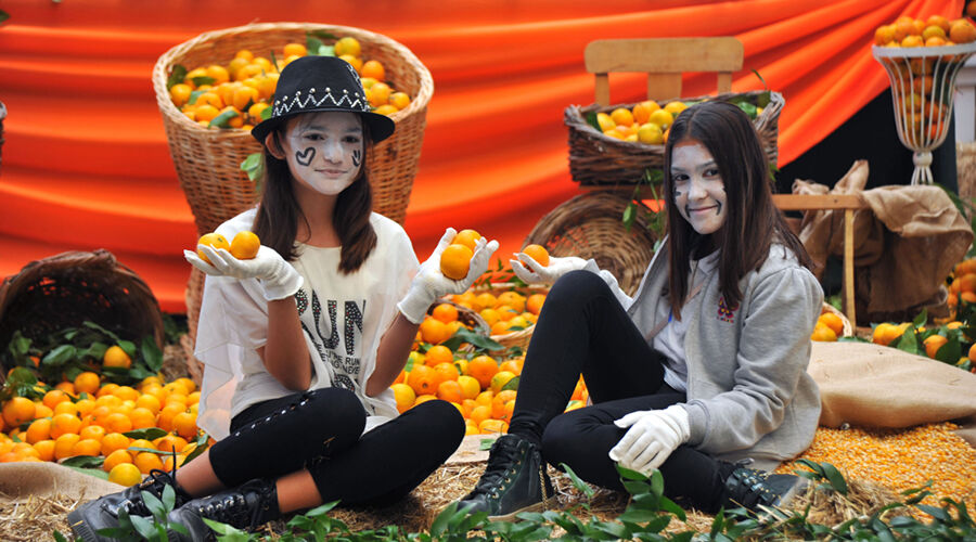 Seferihisar Mandalina Festivali (Günübirlik)