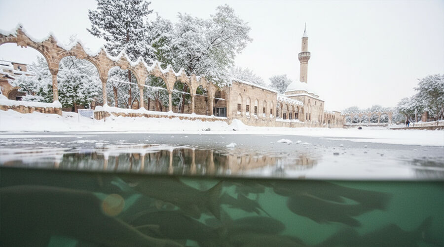 Butik Urfa Antep Turu