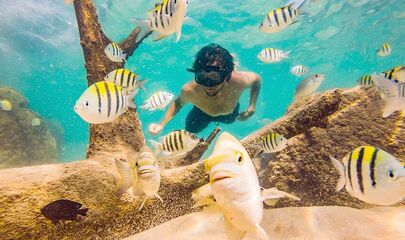 Vizesiz Sharm el-Sheikh Turu