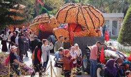 Otobüslü Adana, Hatay, Gaziantep ve Portakal Çiçeği Festivali
