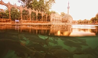 Butik Urfa Antep Turu