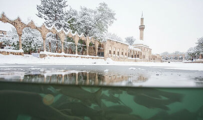 Butik Urfa Antep Turu
