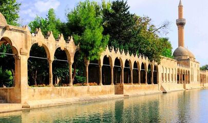 Butik Urfa Antep Turu