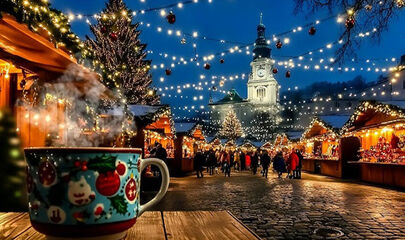 Vizesiz Noel Pazarları Belgrad Turu