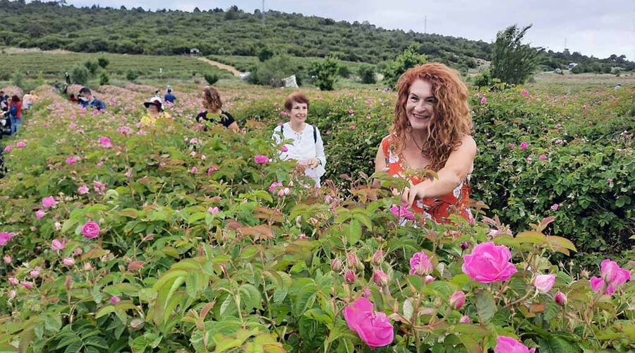 Isparta Gül Bahçesi ve Sagalassos Antik Kenti Turu