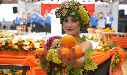 Seferihisar Mandalina Festivali