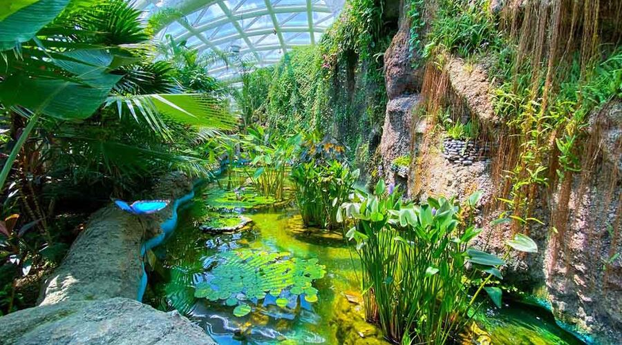 Konya Turu - Şebi Arus Turu