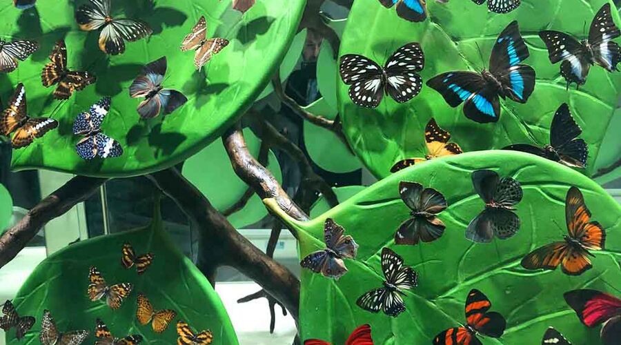 Konya Turu - Şebi Arus Turu