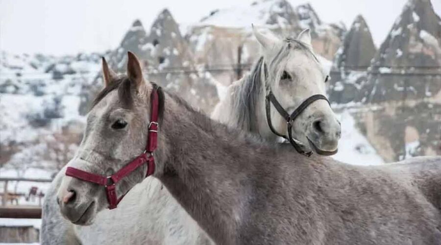 Yılbaşı Galalı Kapadokya ve Erciyes Turu
