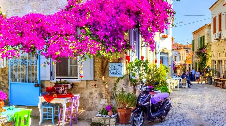 Karaburun Nergis Zamanı ve Domatia Rum Köyü, Karina Sahili