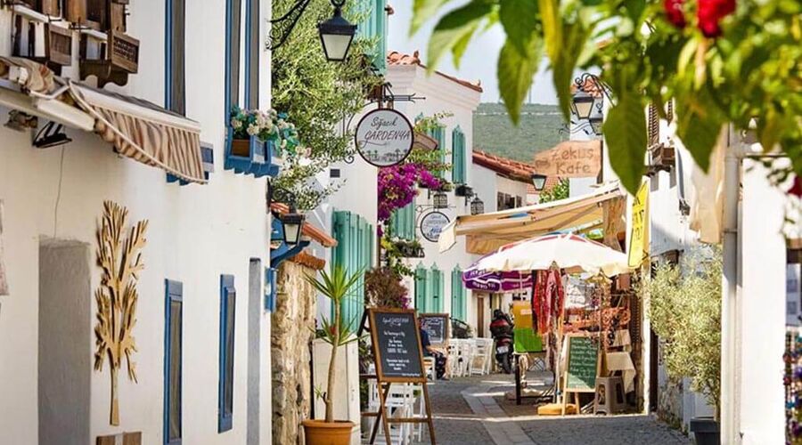 Nergis Festivali ve Sığacık - Şirince