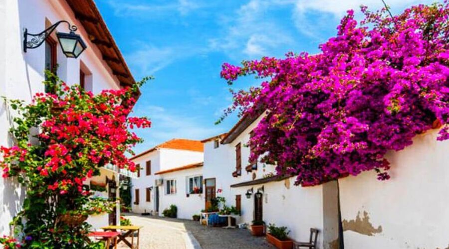 Nergis Festivali ve Sığacık - Şirince