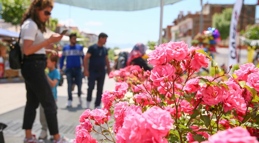 Bayındır Çiçek Festivali