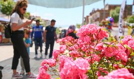 Bayındır Çiçek Festivali